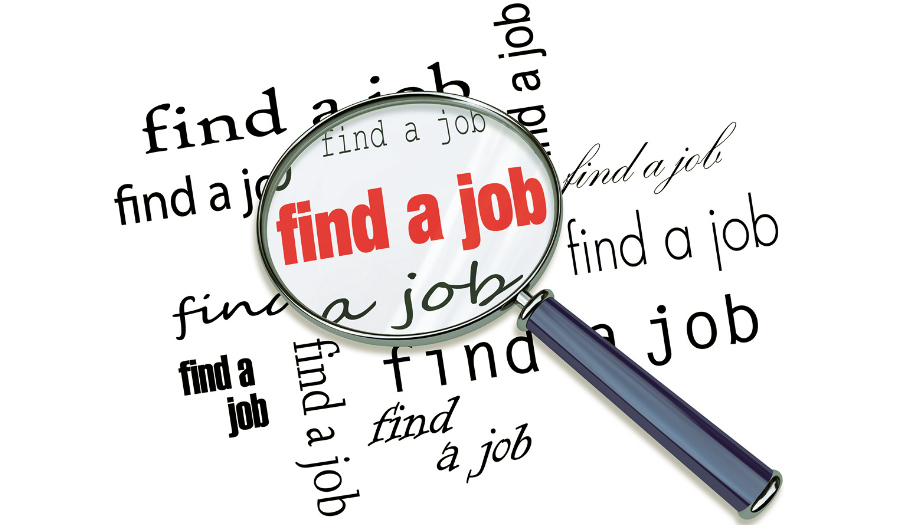 Job Search Image