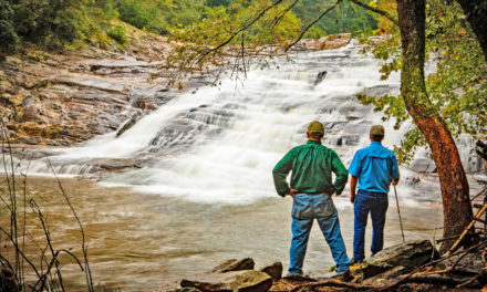 Blaze A Trail To Elkin For NC Trails Days Festival, May 31 – June 2