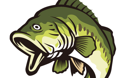 Long View Lions Club Hosts 10th Annual Team Bass Fishing Tournament 3/28, Enter By 3/21