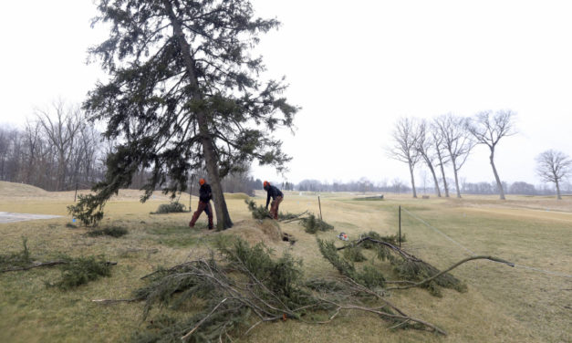 Famous Hinkle Tree From The ‘79 US Open Is Uprooted By Wind