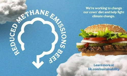BK Addresses Climate Change By Changing What Cows Eat