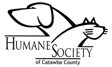 Senior Dogs At Catawba  Humane Society Fetch Grant