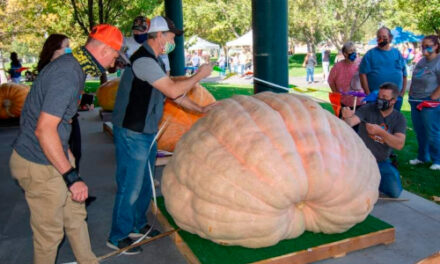 Giant Gourds Break Utah State Record At Weigh-Off In Utah