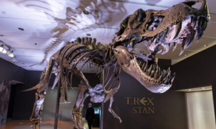 Bones To Pick? Take Stan The T-Rex Home For About $8M