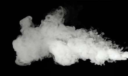 Holy Smoke! German Customs Seizes 10 Tons Of Shisha Tobacco