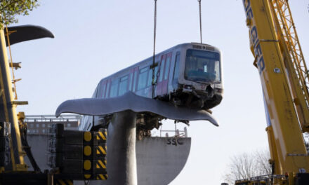 Cranes Lift Dutch Runaway Train Off Whale Sculpture