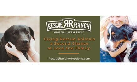 Rescue Ranch Launches Foster And Adoption Program