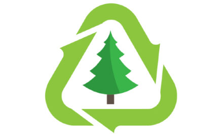 Christmas Tree Recycling: Holiday Curbside Collection & Convenience Center Schedules