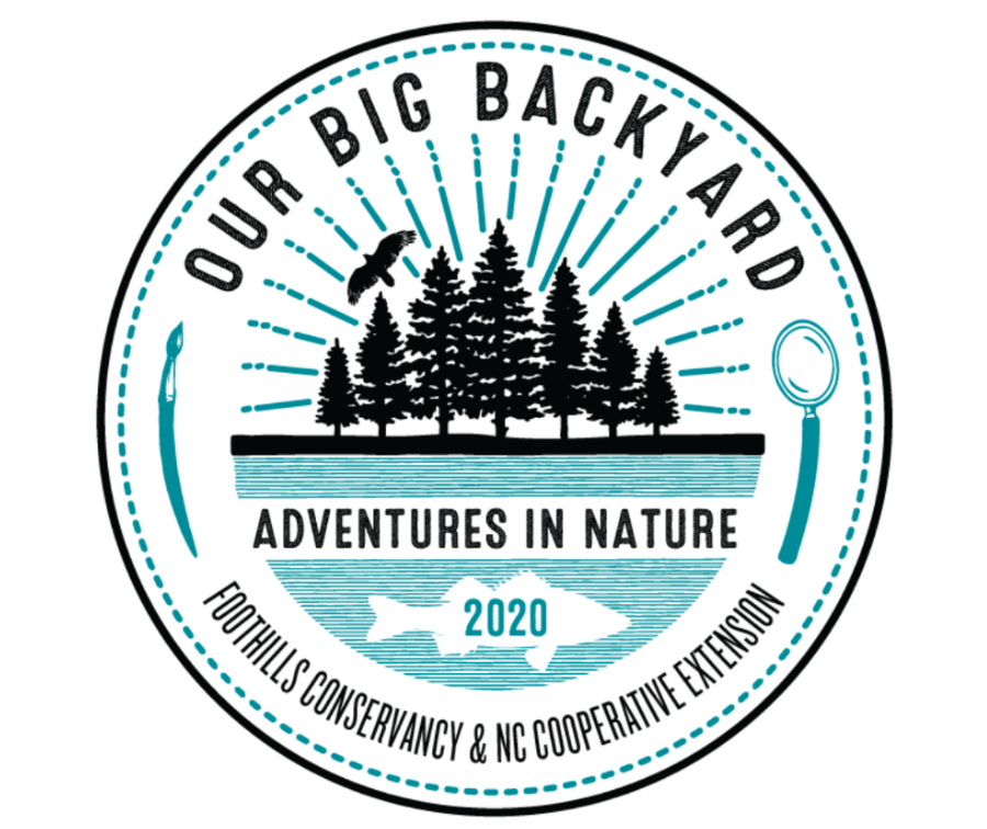 Registration Now Open For Our Big Backyard Summer Camp