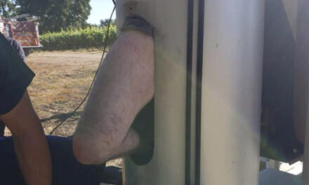 Man Stuck For Days Inside Giant Fan At California Vineyard
