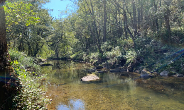 Foothills Conservancy Purchases 118 Acres Along River In Caldwell County For Pisgah National Forest