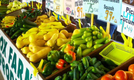 Seniors Morning Out Activities To Include Trips To Farmer’s Market And Educational Programs