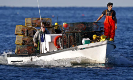 Lobster Boat Tracking Coming To Protect Whales