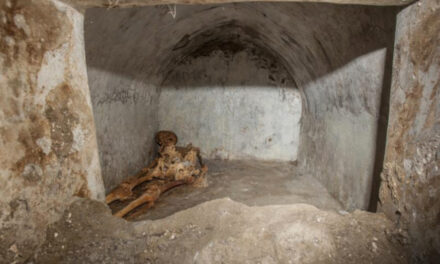 Archaeologists Find Skeleton, Evidence Of Greek In Pompeii