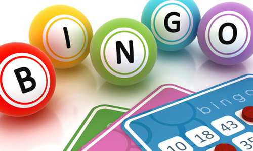 Senior Bingo And Brain Games