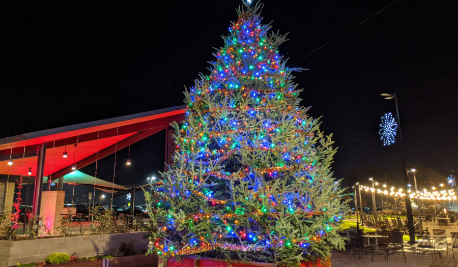 Hickory Christmas Parade & Tree Lighting, November 19 Focus Newspaper