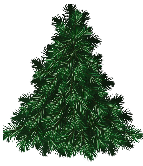 Christmas Tree Recycling: 