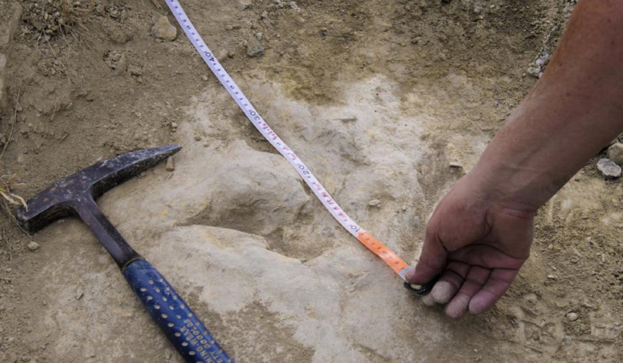 Footprints Show Some Two Legged Dinosaurs Were Agile