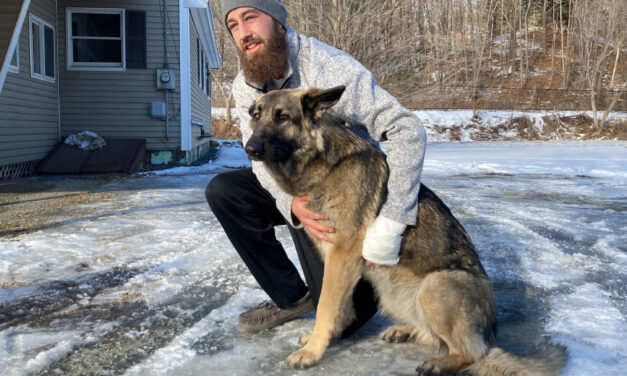 Dog Finds Help, Leads Cops To Owner’s Car Crash