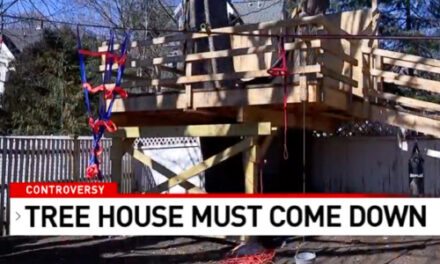 Big Ol’ Treehouse Creates Backyard Battle On Seacoast