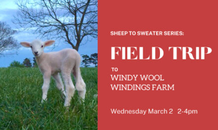 Field Trip To Windy Wool Windings Farm With Library, 3/2