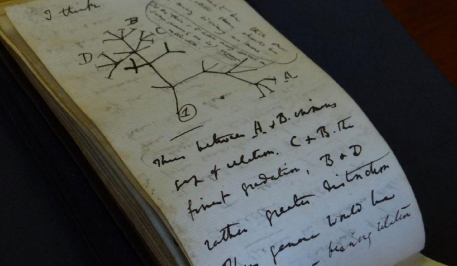 Darwin Notebooks