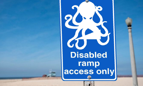disabled ramp acess only