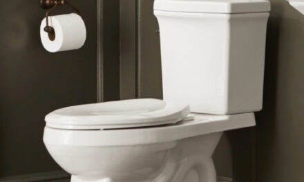 Woman Rescued After Falling In Toilet Trying To Get Phone