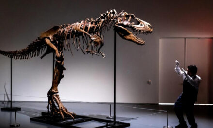 76 Million-Year-Old Dinosaur Skeleton To Be Auctioned