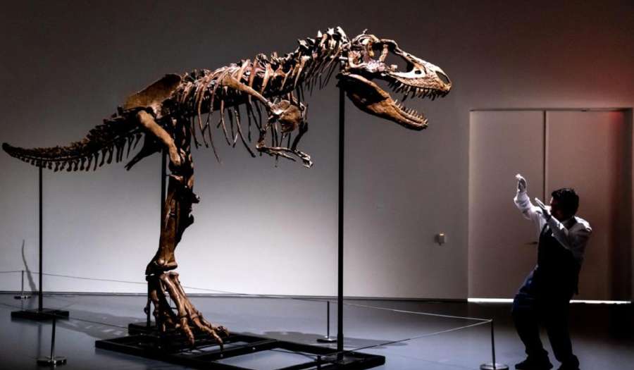 76 Million-Year-Old Dinosaur Skeleton To Be Auctioned