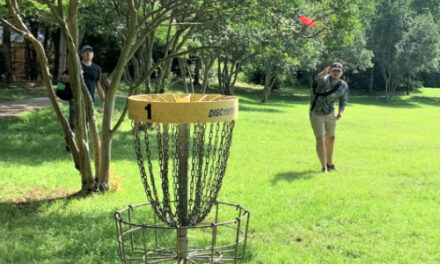 Fly Pink Disc Golf Tournament, Benefiting Breast Cancer, 10/1
