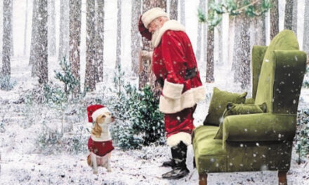 Doggie Day With Santa At Bruce Meisner Park, December 3rd
