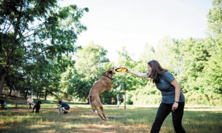 Animal Shelter And Park System Launch Pup ‘N Play