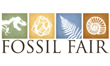 Fossil Fair At Schiele Museum, This Saturday, Feb. 25