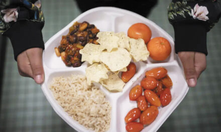 Study Hints Healthier School Lunch Can Reduce Obesity