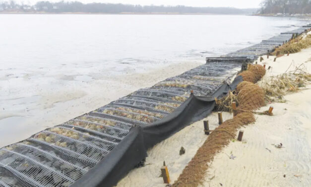 How Coconuts Protect The Jersey Shore, Other Eroding Coasts