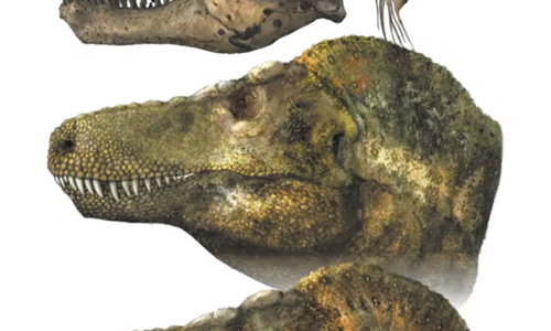 Has T. Rex Lost Its Bite? Menacing Snarl May Be Wrong