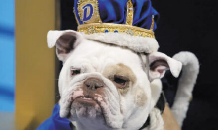 Patch Crowned ‘Beautiful Bulldog’ At Drake University Event