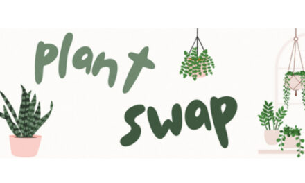 Register For Fall Gardening Talk & Plant Swap On Sat., July 22