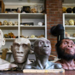 Science Paints New Picture Of Ancient Human Past