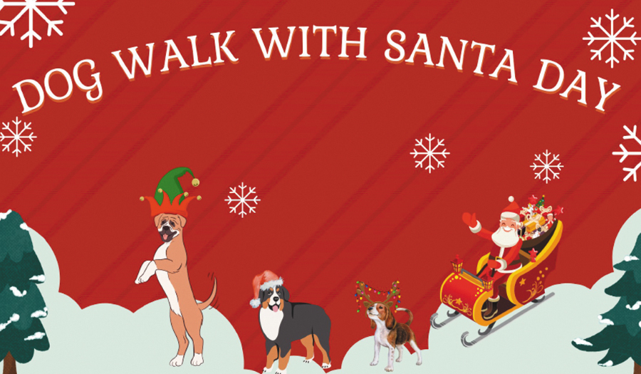 Dog Walk With Santa Day At Bruce Meisner Park, Dec. 2