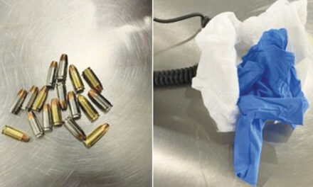 Passenger Hides Bullets In A Baby Diaper At Airport