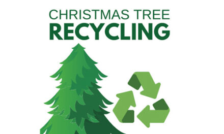 Christmas Tree Recycling:  Holiday Curbside Collection & Convenience Center Schedules