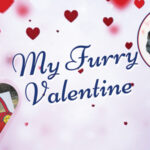 City of Hickory’s My Furry  Valentine Event, Saturday, Feb. 3