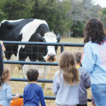 Rescue Ranch To Host Outdoor Explorers Day, January 15