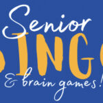 Senior Brain Games And Bingo At Beaver Library, 1/8 & 1/22