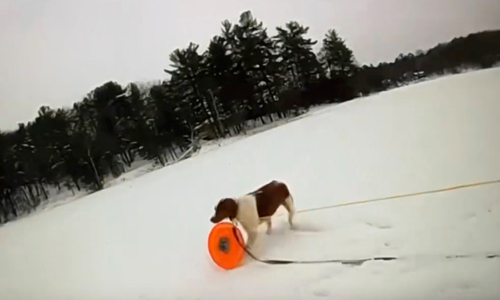 Officer Enlists Man’s Dog To Help Rescue From An Icy Lake