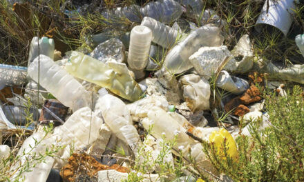 Study Questions Plastic  Pollution’s Effect On Heart Health