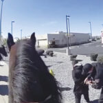 Shoplifter Chased By Police On Horses In New Mexico