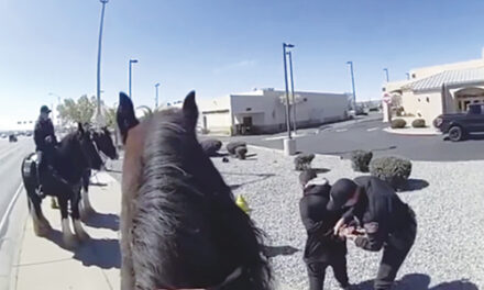 Shoplifter Chased By Police On Horses In New Mexico